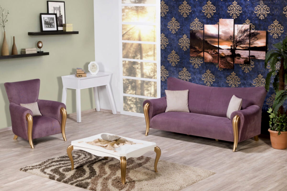 Petunya Vintage Koltuk Takımı - Second Image